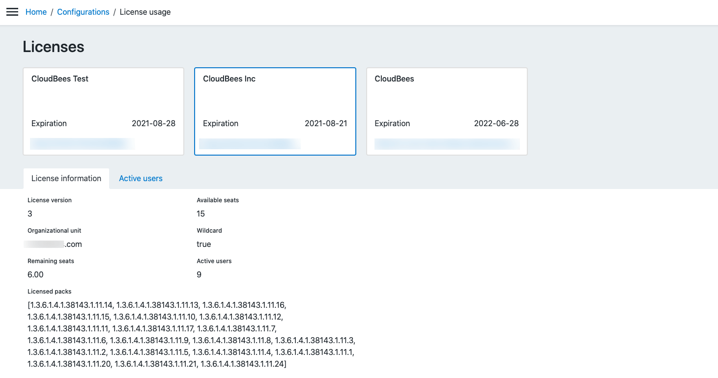 CloudBees license usage