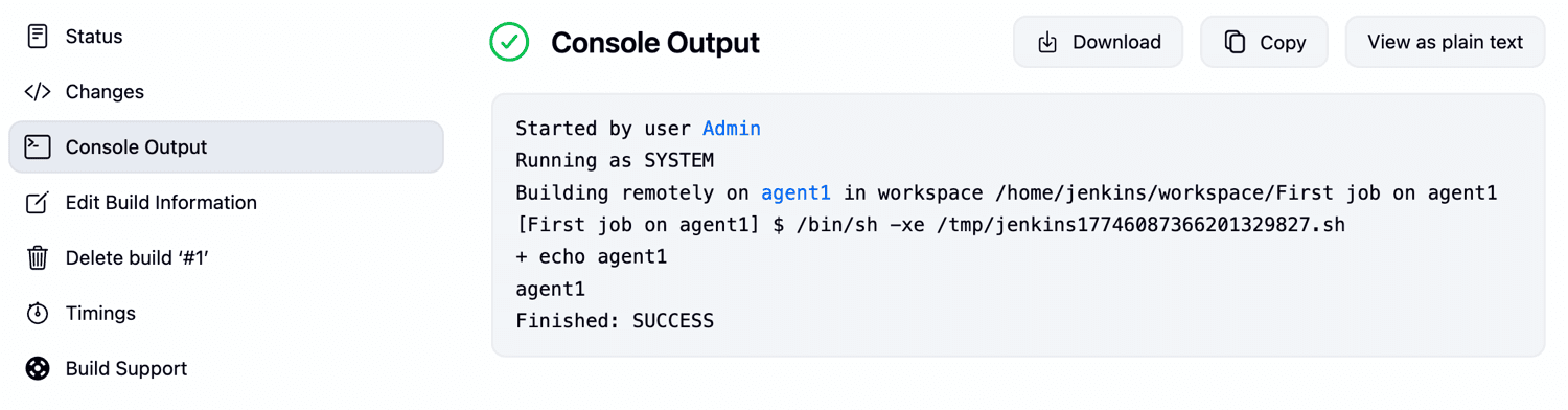 Jenkins console output